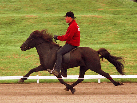 vaenting_fra_ketilsstodum vaenting_fra_ketilsstodum