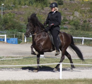 Olil and Álfhildur frá Syðri Gegnishólum