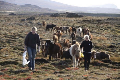 Ketilsstaðir