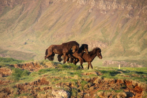 Ketilsstaðir