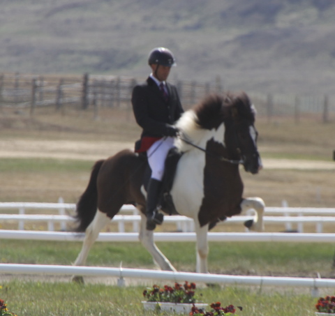 lffinnur_lm11_22 lffinnur_lm11_22