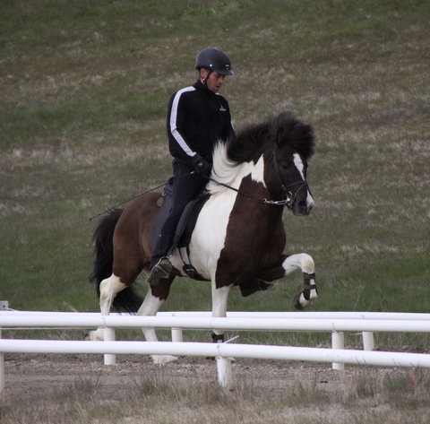 lffinnur_hella11_110611_041-1_15 lffinnur_hella11_110611_041-1_15