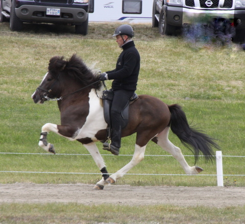 lffinnur_lm11_035-1_2 lffinnur_lm11_035-1_2